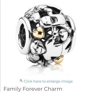 Pandora Family Forever charm